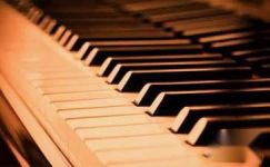 钢琴社会实践报告