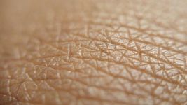 保养皮肤的20种方法