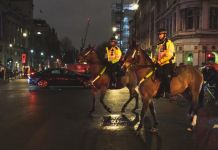 私家警察能解救英国治安吗