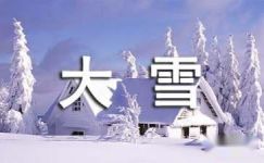 今天北京大雪-散文随笔