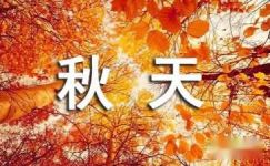 散文随笔：秋天的山